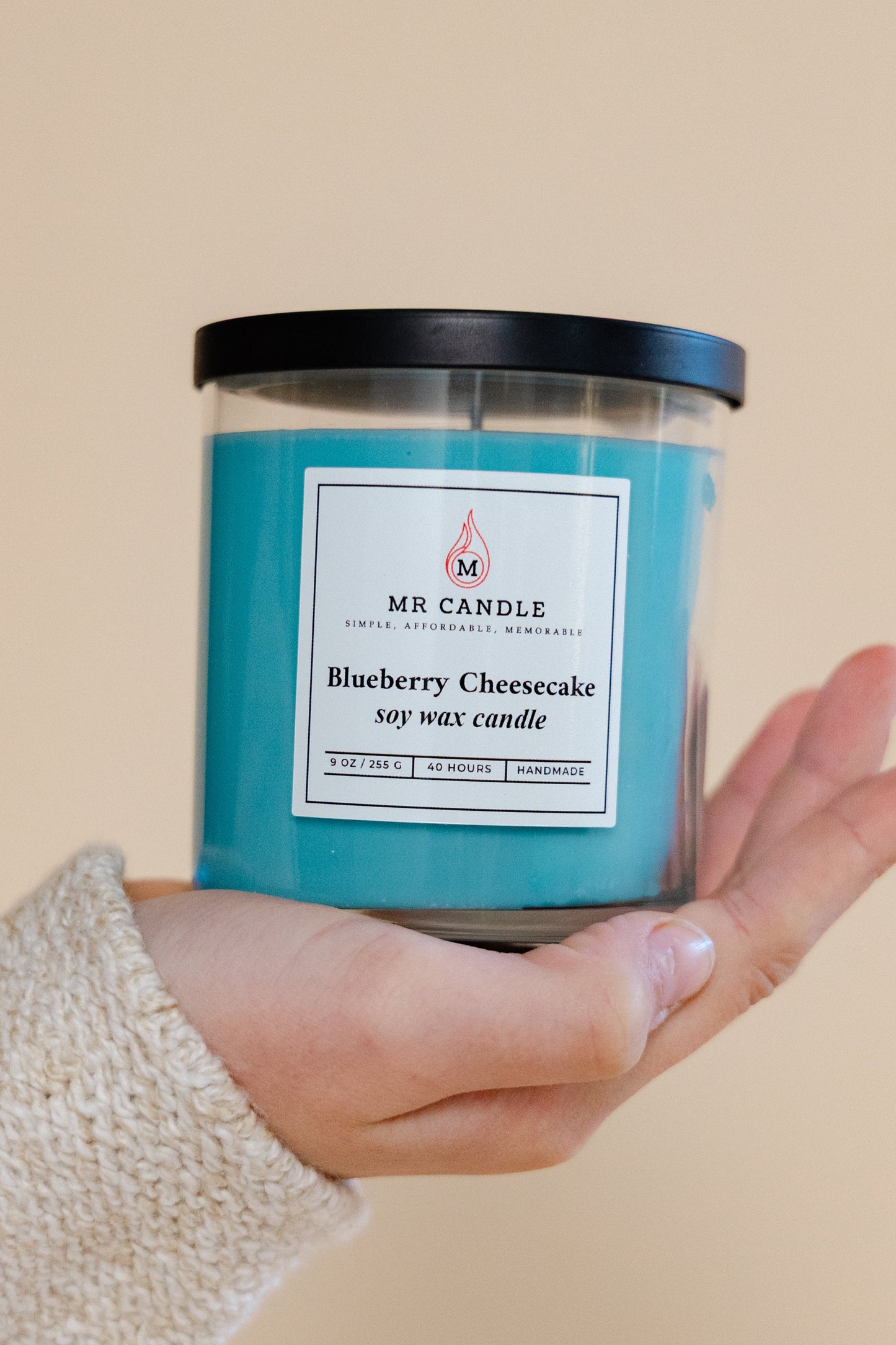 Blueberry Cheese Cake