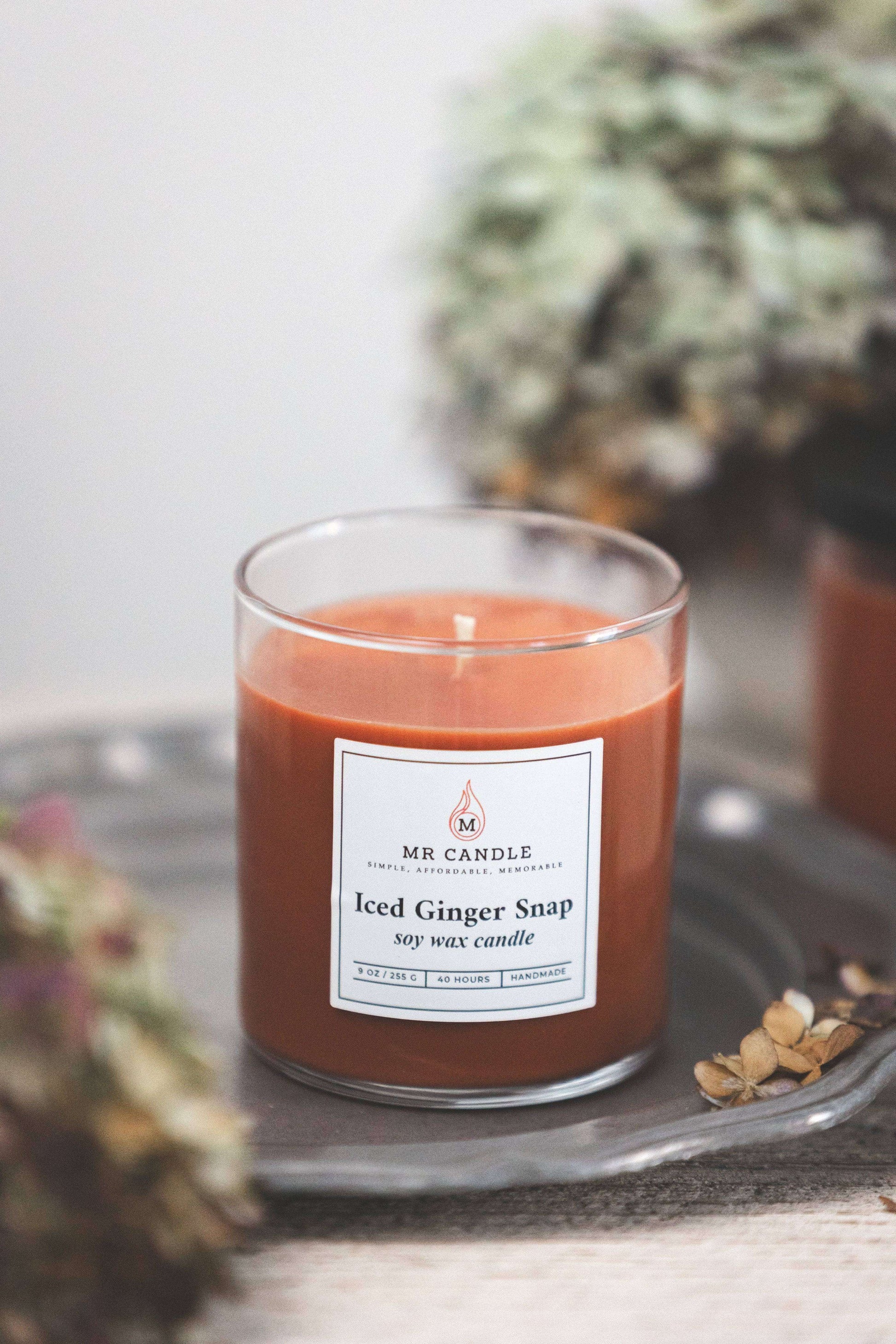 Iced Ginger Snap - Mr Candle